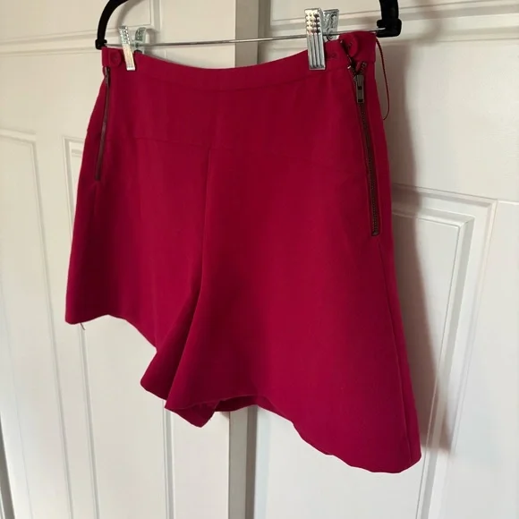 ANTHROPOLOGIE Leifnotes azalea tailored Shorts size 6 pink - Picture 6 of 8